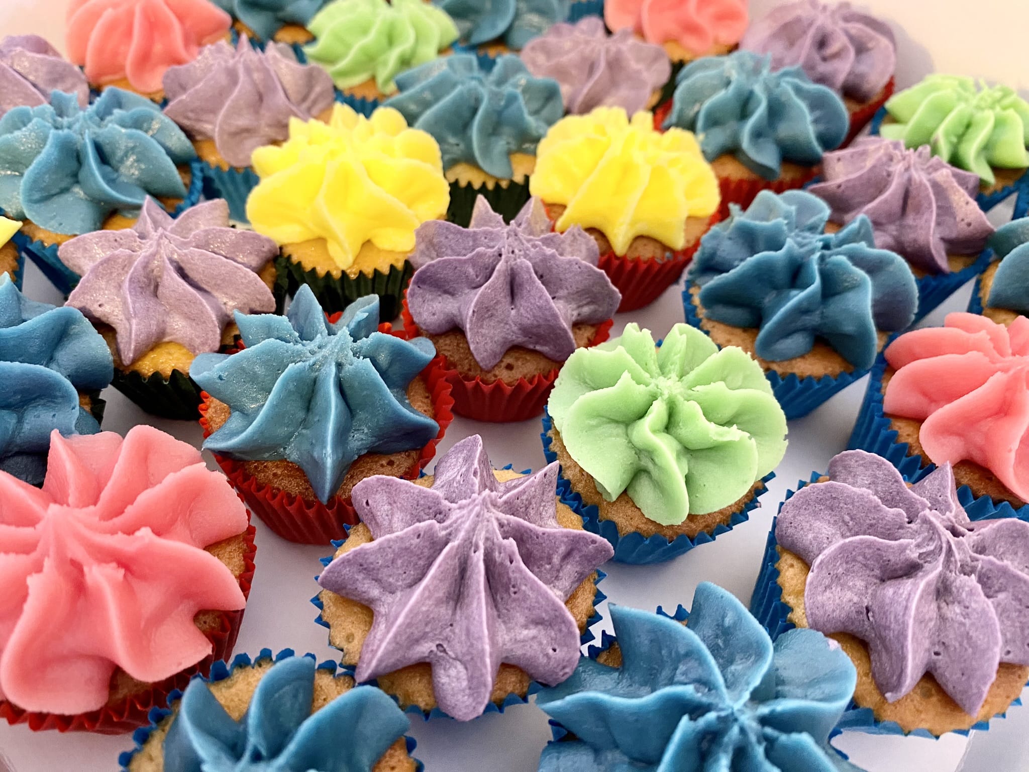 A close-up of many small cupcakes arranged on a surface. Each cupcake has a swirl of brightly colored frosting, resembling a star or flower, in hues of pink, light purple, dark purple, teal, light blue, yellow, and lime green. The cupcakes are in individual paper liners, some red and some blue.