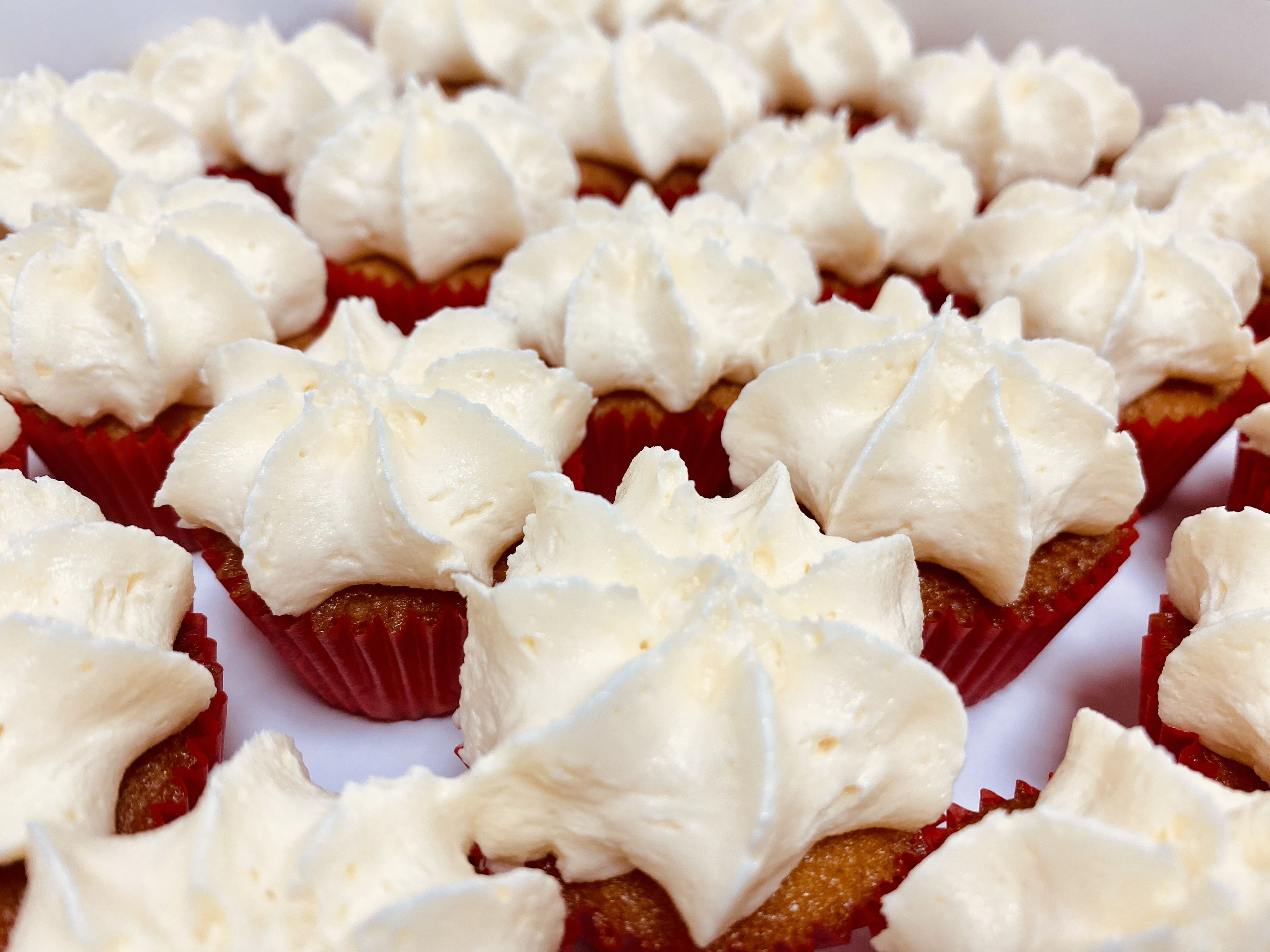 A close-up view of several mini cupcakes topped with generous swirls of creamy white frosting. The cupcakes are in red paper liners and are arranged neatly in rows, creating an appealing and inviting dessert display.